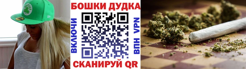 Бошки Шишки Amnesia  где купить   Сковородино 